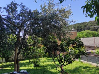 Iznajmljuje se za radnike talijanska vila u centru Pule Šijana